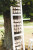 hanging_on_reduced