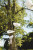 hanging_on_reduced