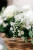 hanging_on_reduced