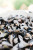 hanging_on_reduced