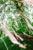 hanging_on_reduced