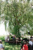 hanging_on_reduced