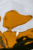 hanging_on_reduced